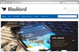 Blackbird WordPress Theme - Planet 27