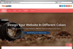 Woodpecker WordPress Theme - Planet 27