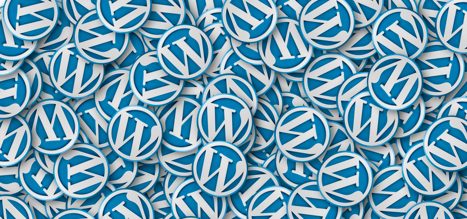 <div class='slider_caption'>		 <h1>Have an existing or setting up a new WordPress website that you need help with? Then we can help.</h1> 			<a class='slider-readmore' href='https://www.planet27.com/wordpress-services/'>FIND OUT MORE</a>
			</div>